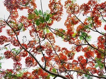 育碧运动新作《极限国度》自定义特性预告片